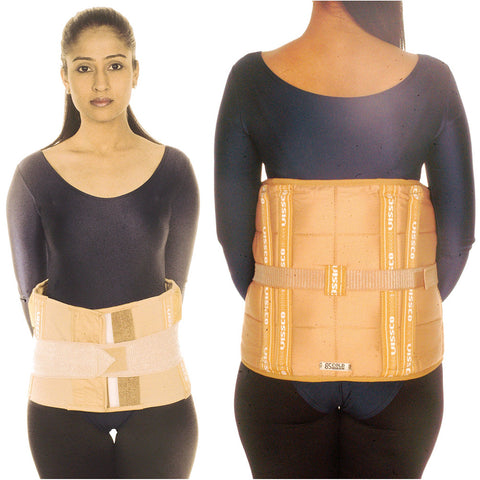 Deluxe Frame Back Support