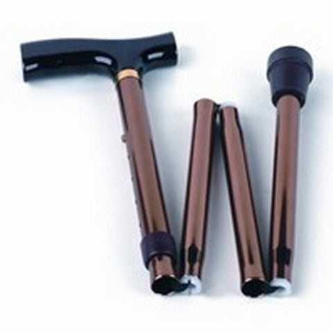 Walking Stick
