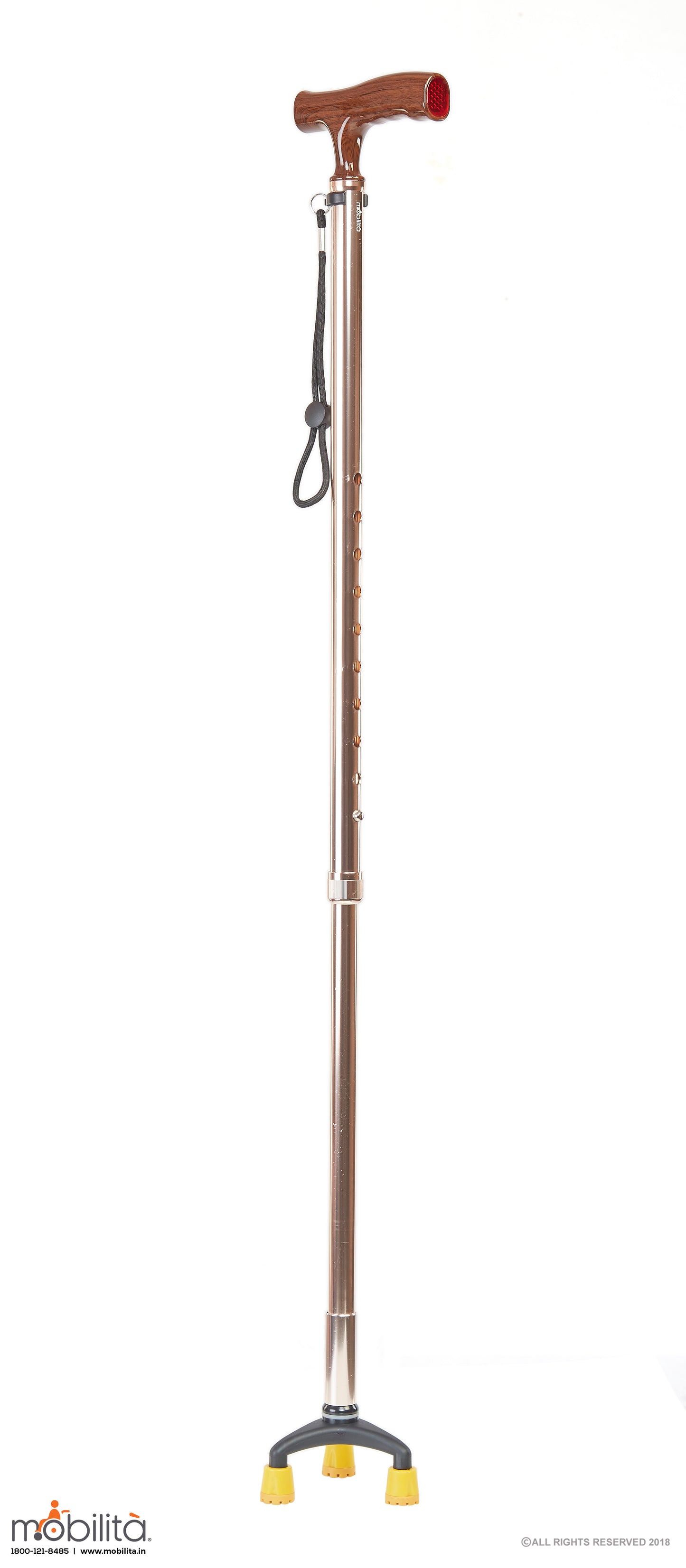 M 709 - Walking Cane - Triangle Paw - Straight Shank - Champagne Gold