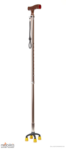 M 710 - Walking Cane - Square Paw - Straight Shank - Champagne Gold