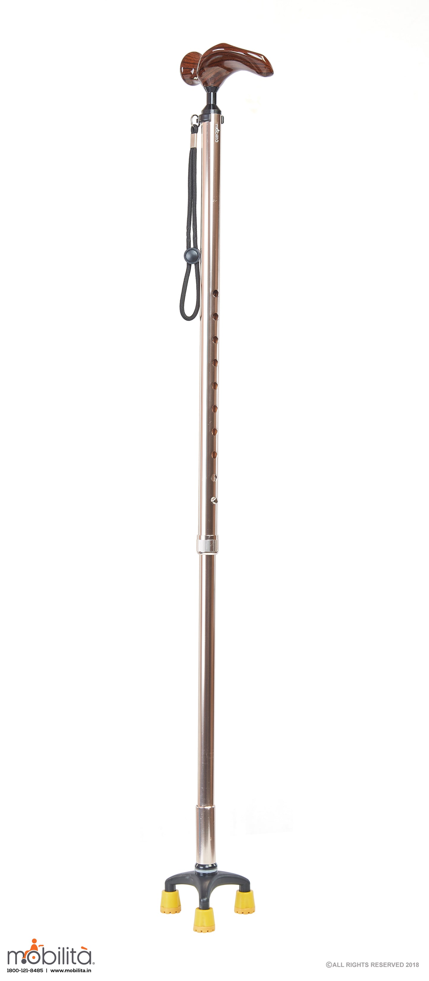M 719 - Walking Cane - Triangle Paw - Palm Shaped Handle - Champagne Gold