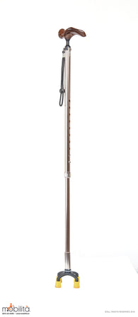 M 720 - Walking Cane - Square Paw - Palm Shaped Handle - Champagne Gold