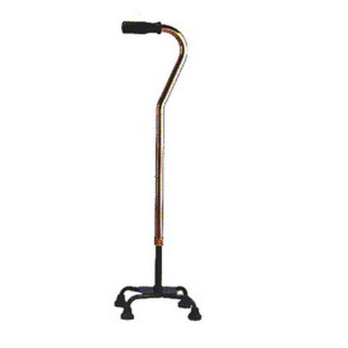 Walking Stick